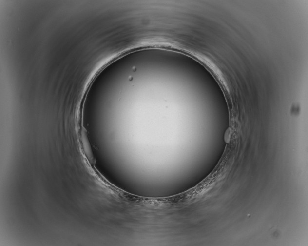 X0000100310815200806121039