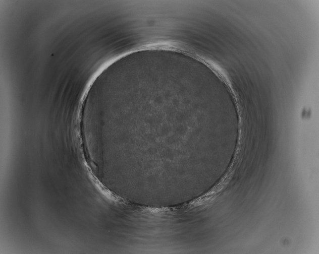 X0000100310816200806121039