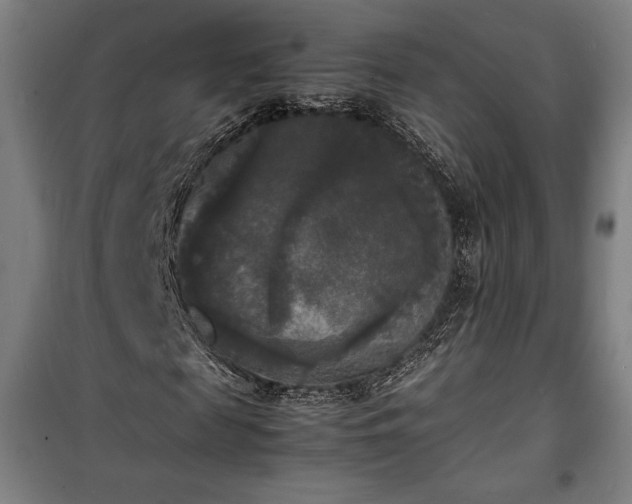 X0000100310817200806121038