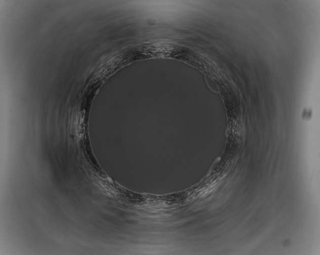 X0000100310818200806121038