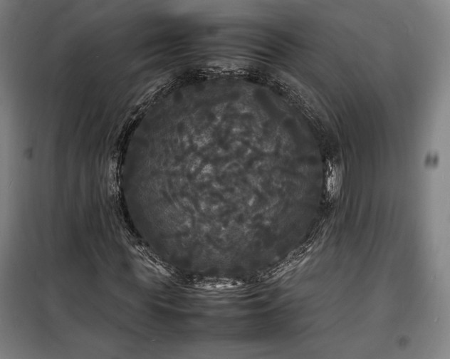 X0000100310819200806121038