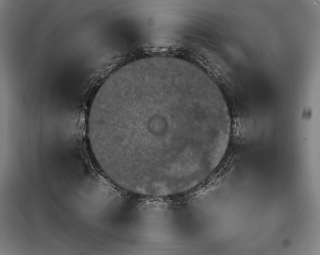 X0000100310820200806121038