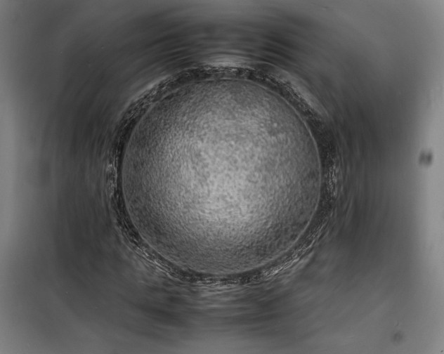 X0000100310821200806121038