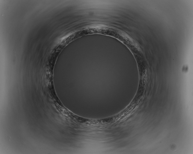 X0000100310822200806121038