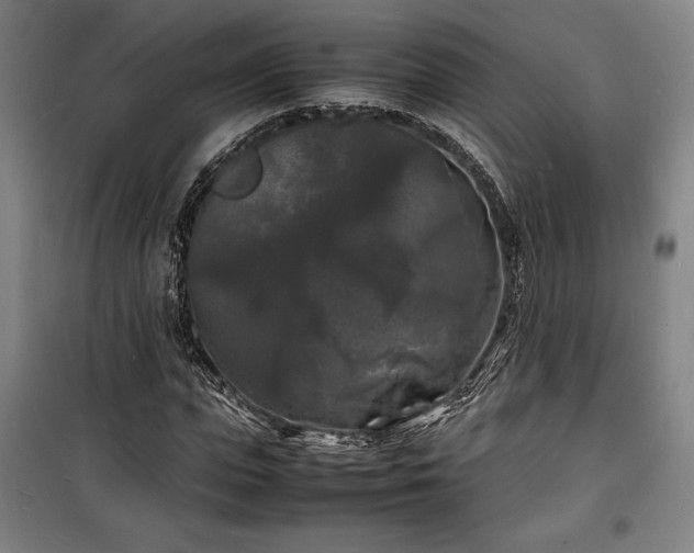 X0000100310823200806121038