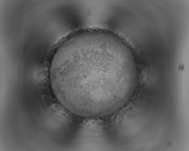 X0000100310824200806121038