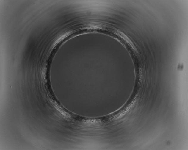 X0000100310826200806121038