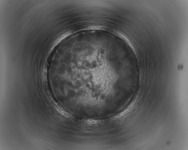 X0000100310827200806121038