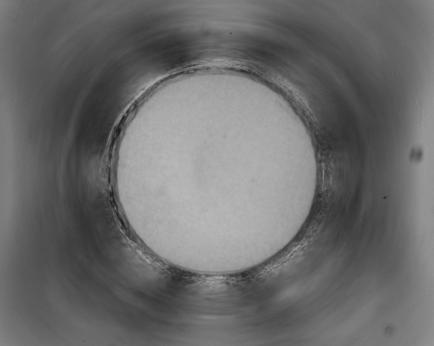 X0000100310828200806121038