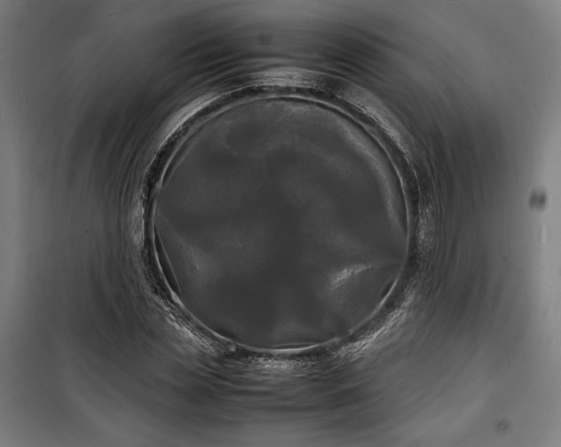 X0000100310829200806121038