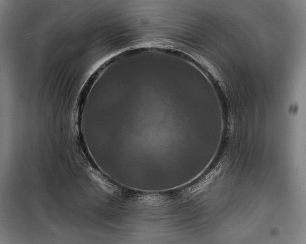 X0000100310830200806121038