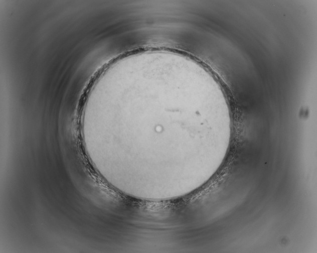 X0000100310832200806121038