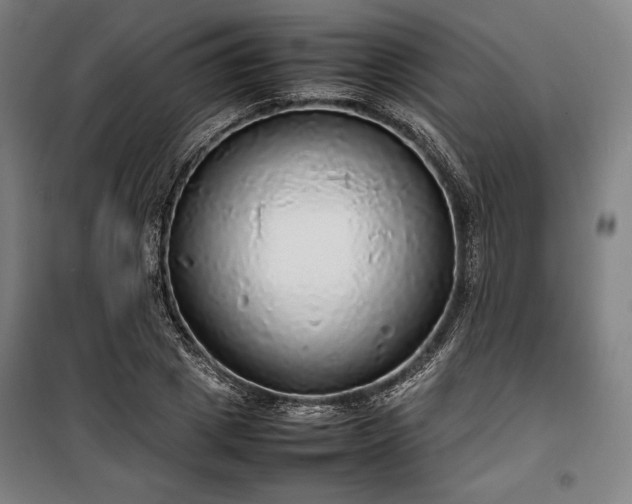 X0000100310833200806121038