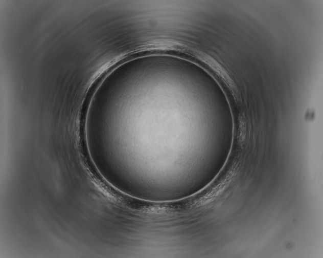 X0000100310834200806121038