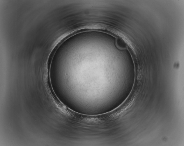 X0000100310837200806121039