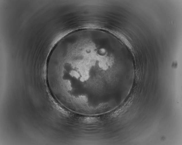X0000100310839200806121039