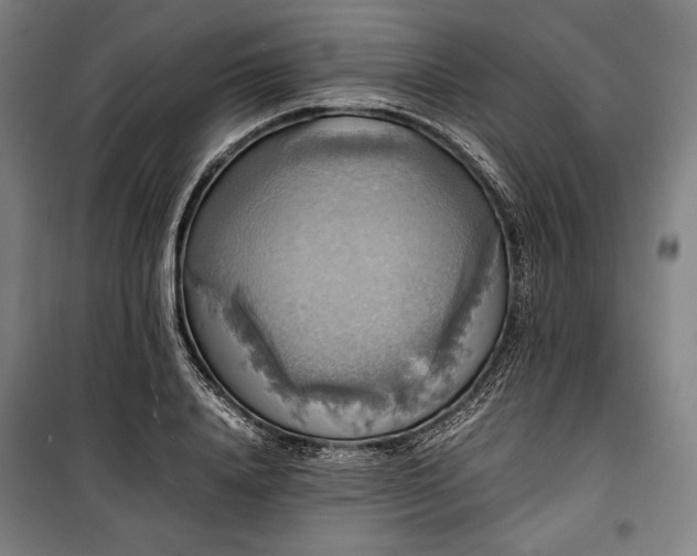 X0000100310840200806121039