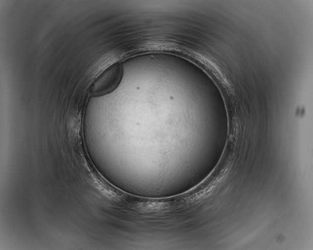 X0000100310841200806121039
