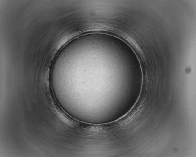 X0000100310842200806121039