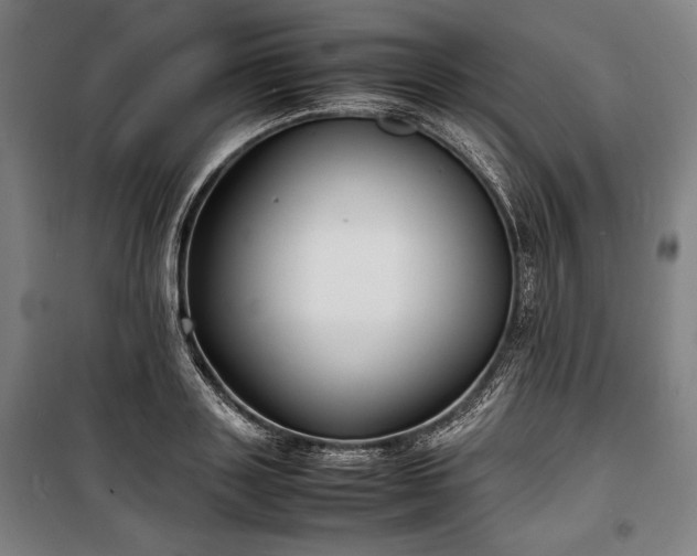 X0000100310843200806121039