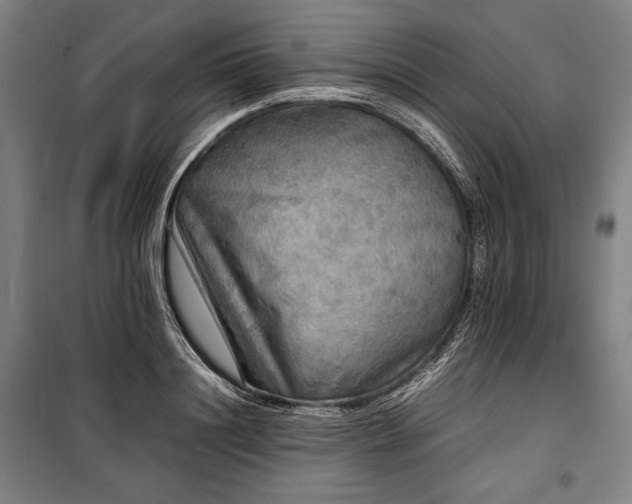 X0000100310844200806121039