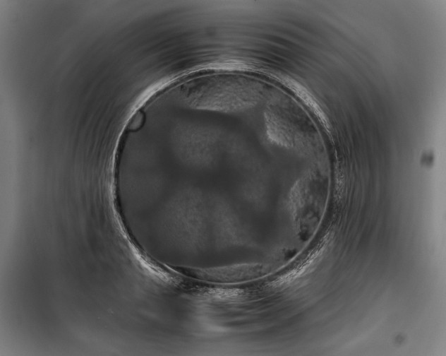 X0000100310845200806121039