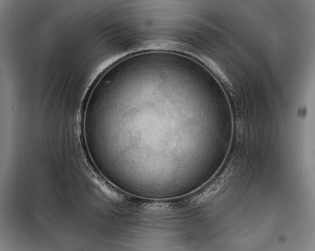 X0000100310846200806121039