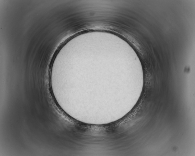 X0000100310848200806121039