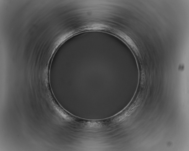 X0000100310850200806121039