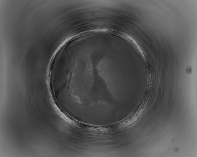 X0000100310851200806121039