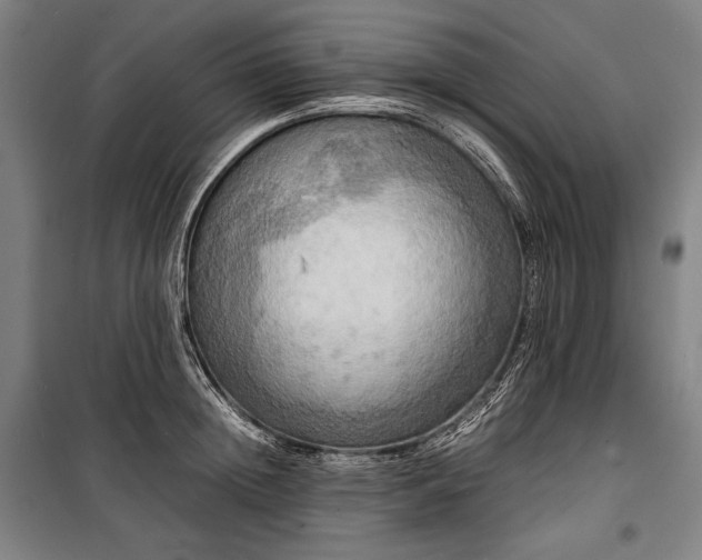 X0000100310852200806121039