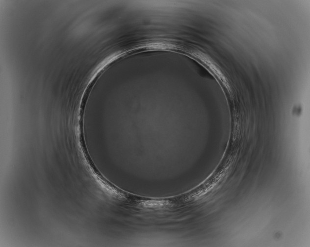 X0000100310853200806121039