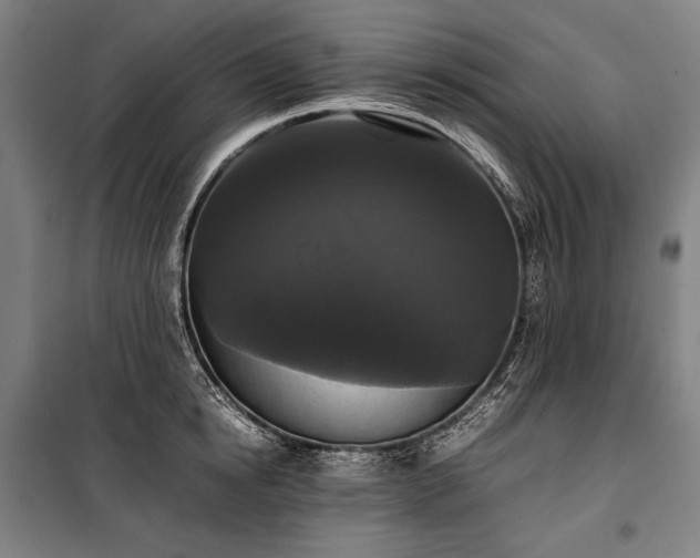 X0000100310854200806121039