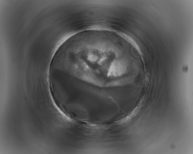 X0000100310855200806121039