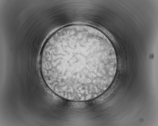 X0000100310856200806121039