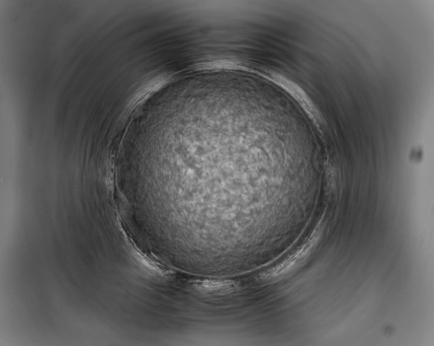 X0000100310857200806121039