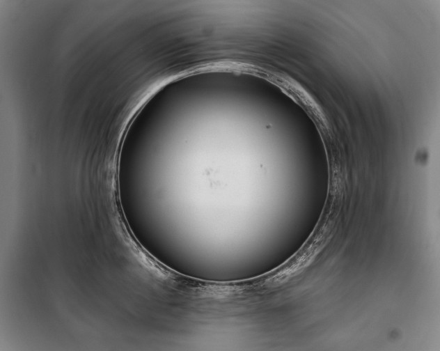 X0000100310860200806121039