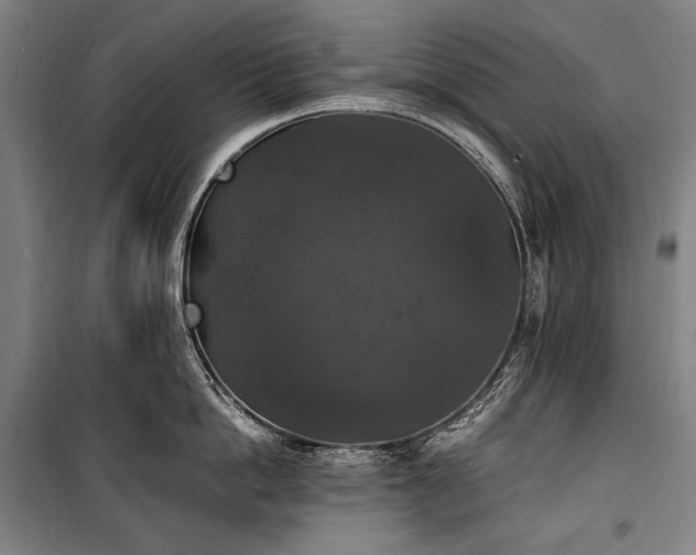 X0000100310862200806121039