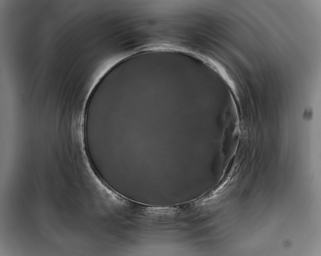 X0000100310863200806121039