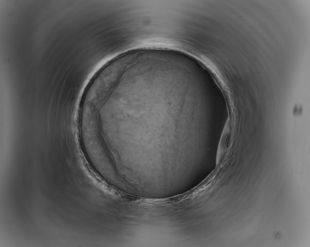 X0000100310864200806121039
