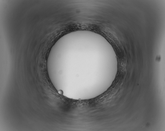 X0000100310865200806121038