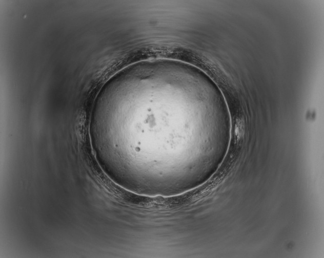 X0000100310867200806121038