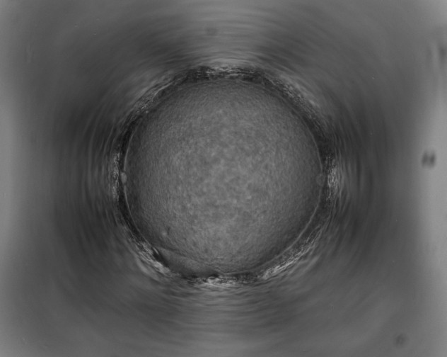 X0000100310868200806121038
