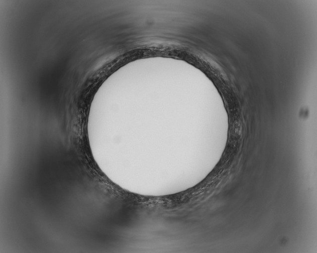 X0000100310869200806121038