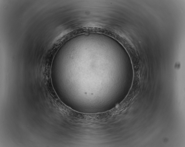 X0000100310870200806121038