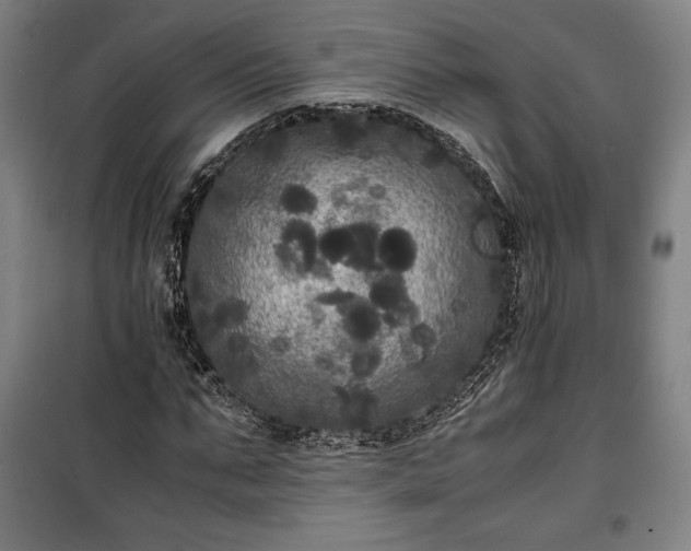 X0000100310871200806121038