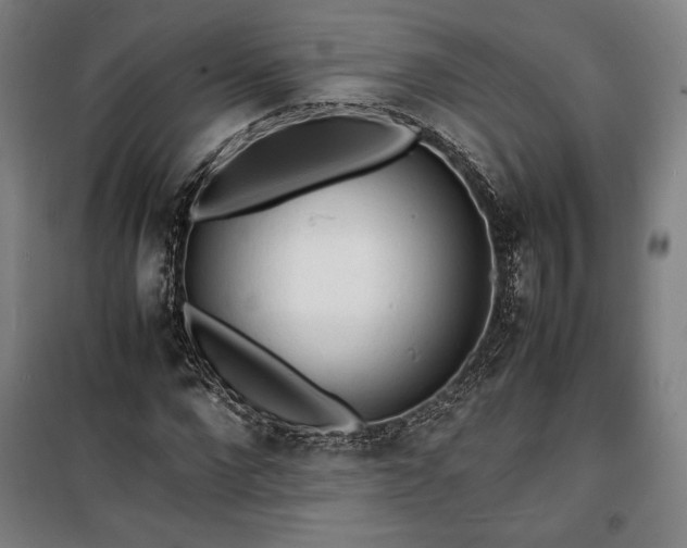 X0000100310872200806121038