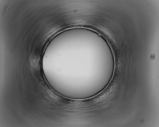 X0000100310873200806121038