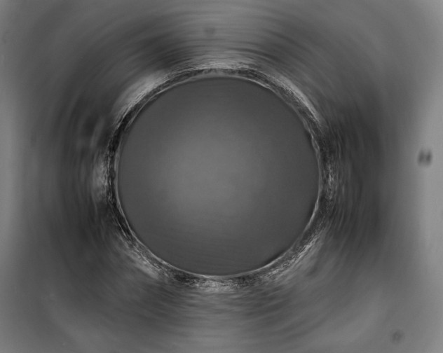 X0000100310874200806121038