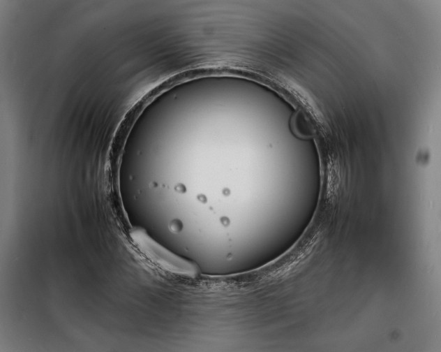 X0000100310876200806121038